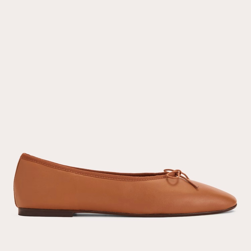 Everlane day ballet flat
